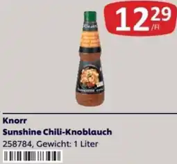 Kastner Knorr Sunshine Chili-Knoblauch Angebot