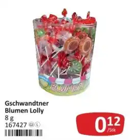 Kastner Gschwandtner Blumen Lolly Angebot