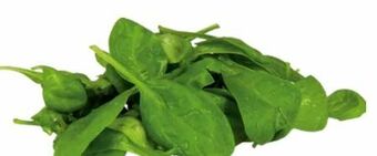 Transgourmet Spinat Angebot