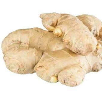 Transgourmet Ingwer Angebot