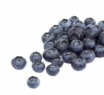 Transgourmet Heidelbeeren Angebot