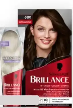 Bipa Schwarzkopf Brillance Haarfarbe Angebot
