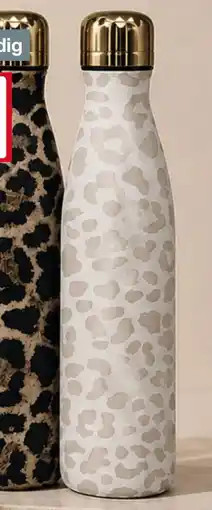 Woolworth Isolierflasche Angebot