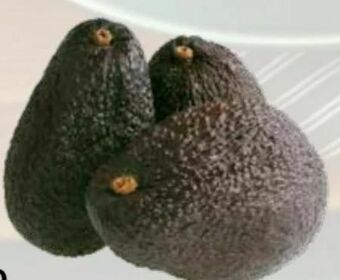 Transgourmet Avocado Hass Angebot