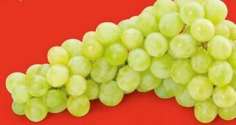 Hofer Trauben Angebot