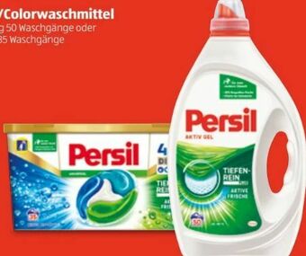 Hofer Vollwaschmittel Angebot