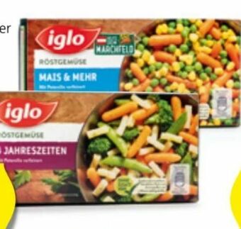 Hofer Röstgemüse Angebot