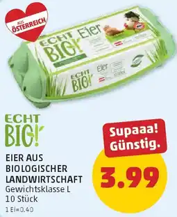 PENNY Echt Big! Eier Angebot