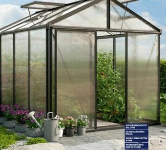 Hofer Gewächshaus Royal Angebot