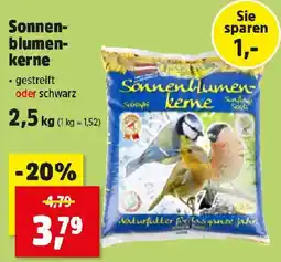 Thomas Philipps Sonnenblumenkerne Angebot