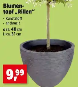 Thomas Philipps Blumentopf „Rillen“ Angebot