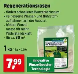 Thomas Philipps Regenerationsrasen mit Wurzelbooster Angebot