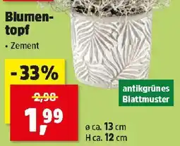 Thomas Philipps Blumentopf Angebot