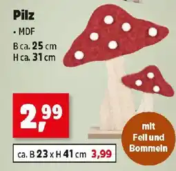 Thomas Philipps Pilz Angebot