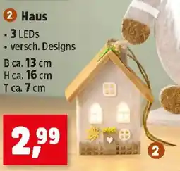 Thomas Philipps LED Herbstdeko Haus Angebot