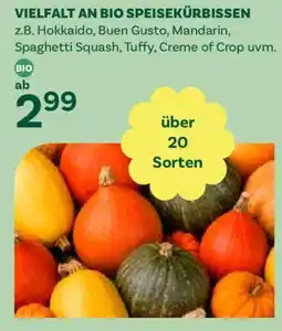 Bellaflora Bio Speisekürbisse Angebot
