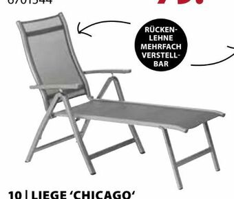 Dehner Liege Chicago Angebot