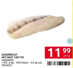 Transgourmet Zanderfilet mit Haut Angebot