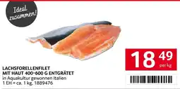 Transgourmet Lachsforellenfilet Angebot