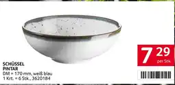 Transgourmet Schüssel Pintar Angebot