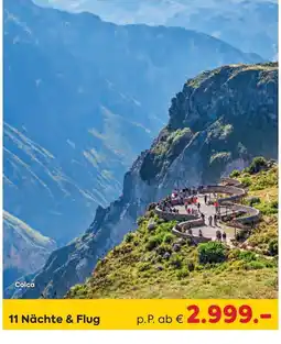 Billa Reisen Colca Angebot