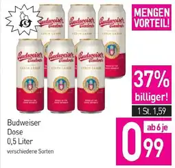 Sutterlüty Budweiser Dose Angebot