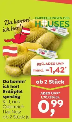 ADEG Erdäpfel speckig Angebot