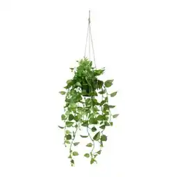 Mömax Modern Living Kunstpflanze Philodendron Angebot