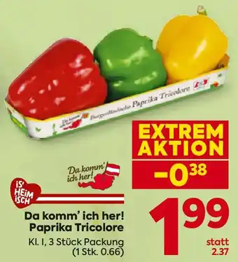 Billa Paprika Tricolore Angebot