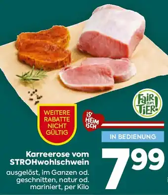 Billa Karreerose vom STROHwohlschwein Angebot