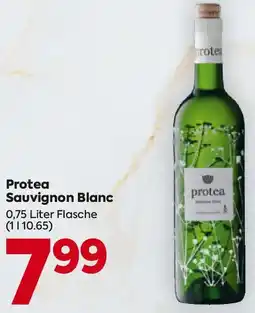 Billa Protea Sauvignon Blanc Angebot