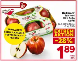 Billa Mini Gala Apfel Angebot