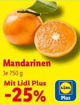 Lidl Mandarinen Angebot