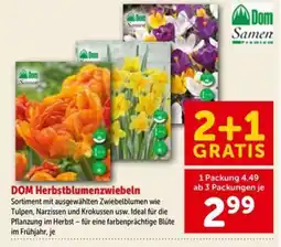 Interspar DOM Herbstblumenzwiebeln Angebot