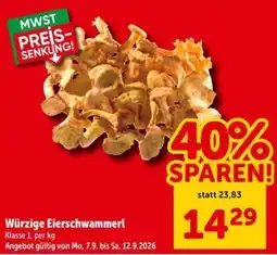 Interspar Würzige Eierschwammerl Angebot