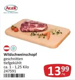 Kastner Ager Wildschweinschopf Angebot