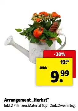 Eurogast Grissemann Arrangement „Herbst“ Angebot