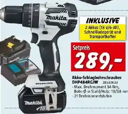 Bauhaus Akku-Schlagbohrschrauber DHP484RGJW Angebot
