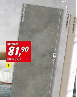 Bauhaus SPC Wandpaneele Angebot