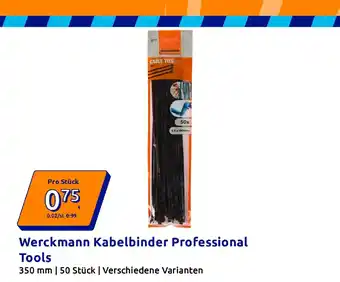 Action Werckmann Kabelbinder Professional Tools Angebot