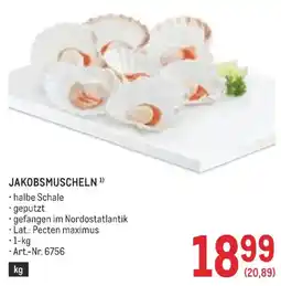 Metro Jakobsmuscheln Angebot
