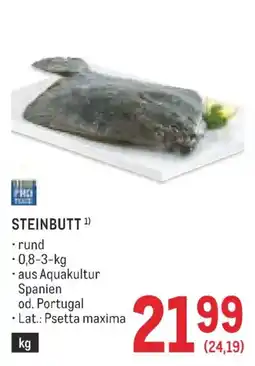 Metro STEINBUTT Angebot