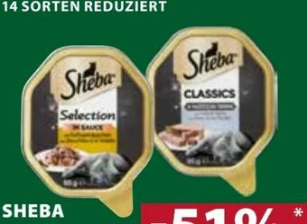 Dehner Katzen-Nassfutter Angebot