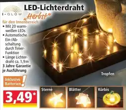 Norma I-GLOW LED-Lichterdraht "Herbst" Angebot