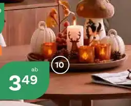 Bellaflora Verschiedene dekoartikel Angebot