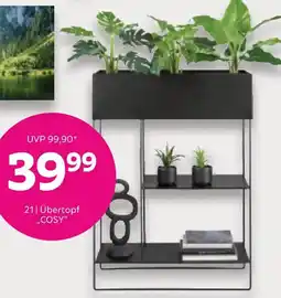 Mömax Übertopf "COSY" Angebot