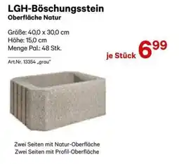Salzburger Lagerhaus LGH-Böschungsstein Oberfläche Natur Angebot