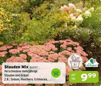 Salzburger Lagerhaus Stauden Mix 20227 Angebot
