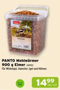 Salzburger Lagerhaus PANTO Mehlwürmer Angebot