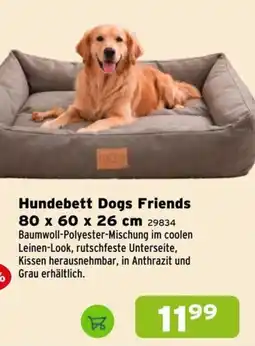 Salzburger Lagerhaus Hundebett Dogs Friends Angebot